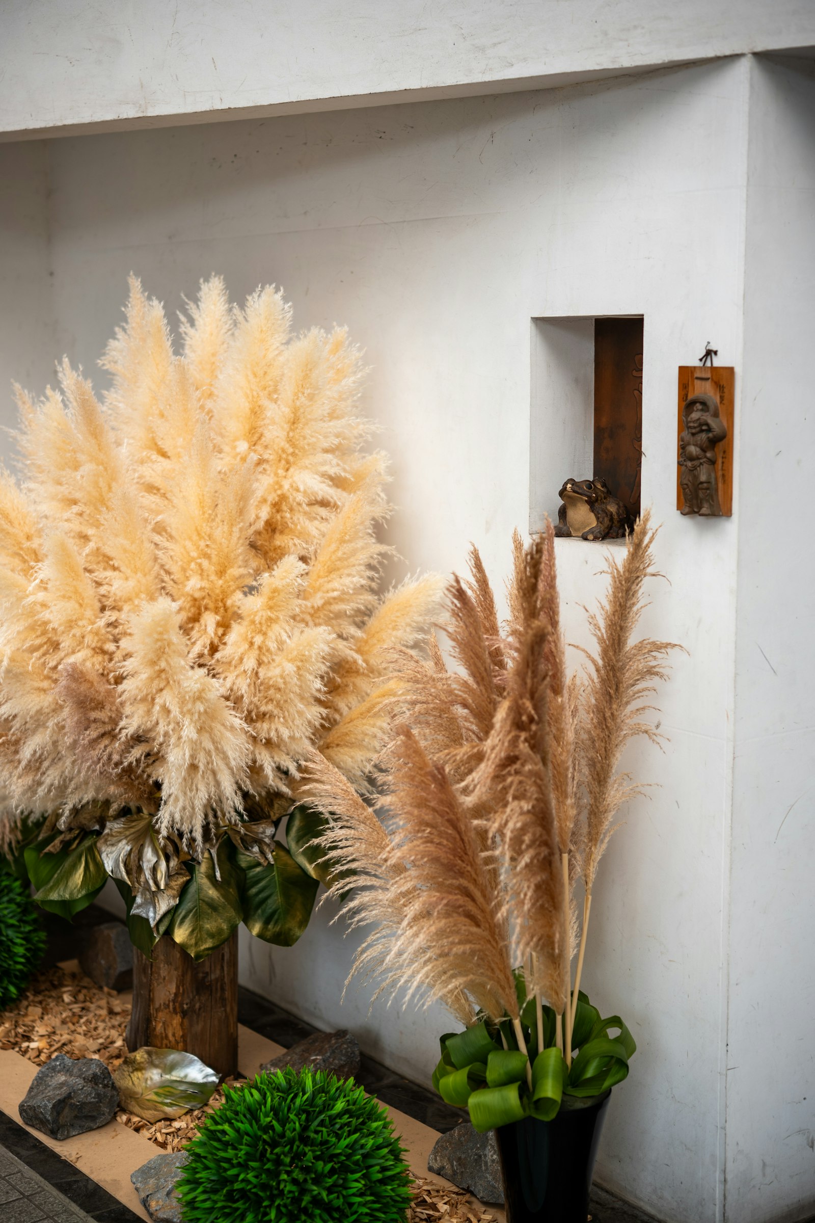 Tall dried pampas