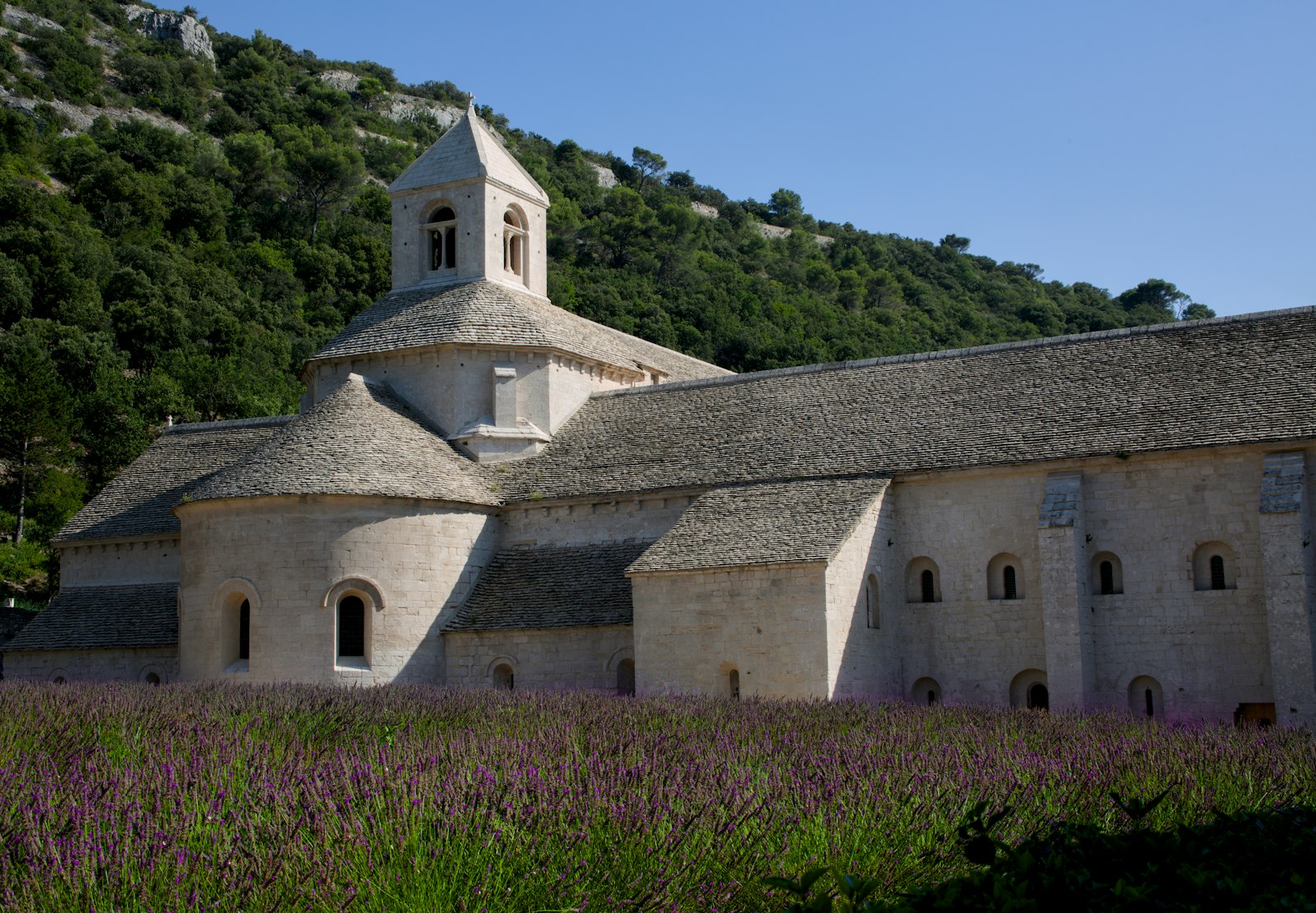 Church in lavender field